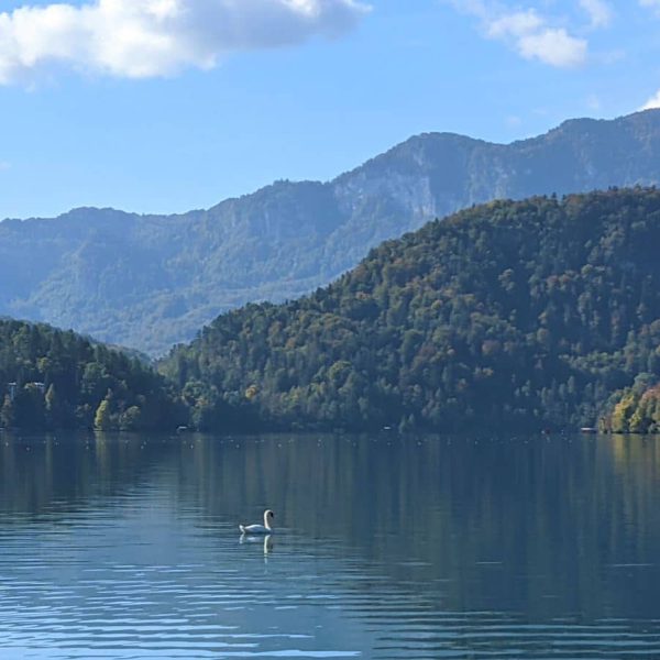Het meer van Bled