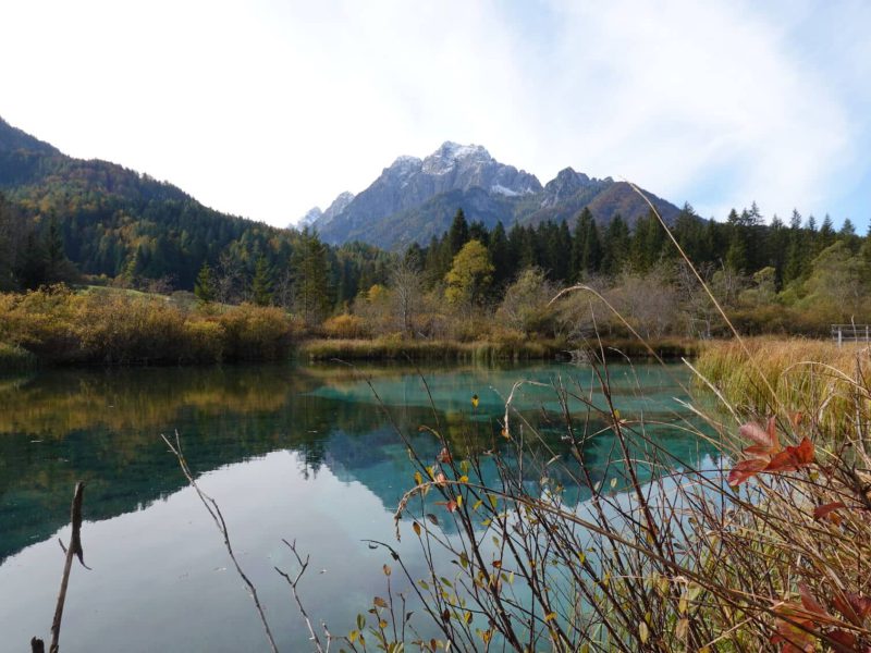 Zelenci Meer